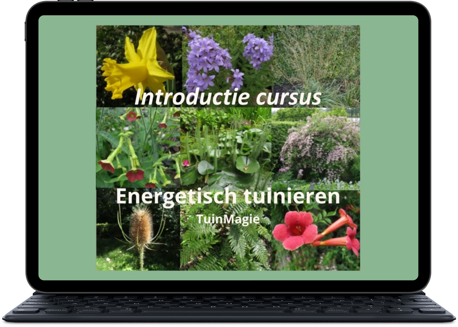 Cover Introductie C