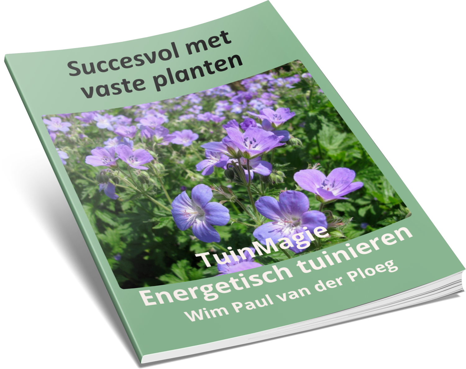 tm succesvol met vaste planten